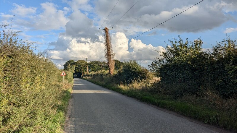 Oxborough Road © Sandy Gerrard cc-by-sa/2.0 :: Geograph Britain and Ireland