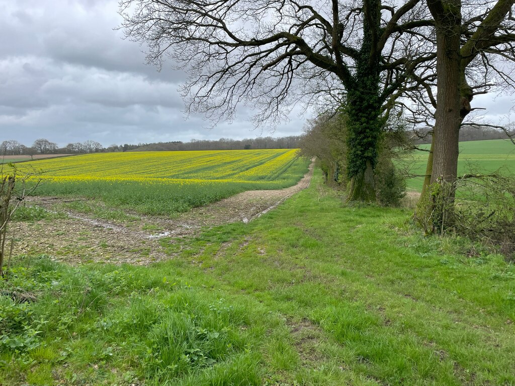 Field boundary - Steventon Warren Farm © Mr Ignavy cc-by-sa/2.0 ...