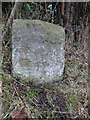 Boundary Stone, Yorkley