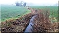 Bottom Beck in fields on northeast side of Bracewell Lane