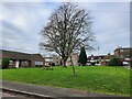 Looking from Lyndum Close across to Winton Road