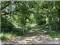 Access to Monk Sherborne Woods