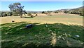 Fields at Low Holden Farm