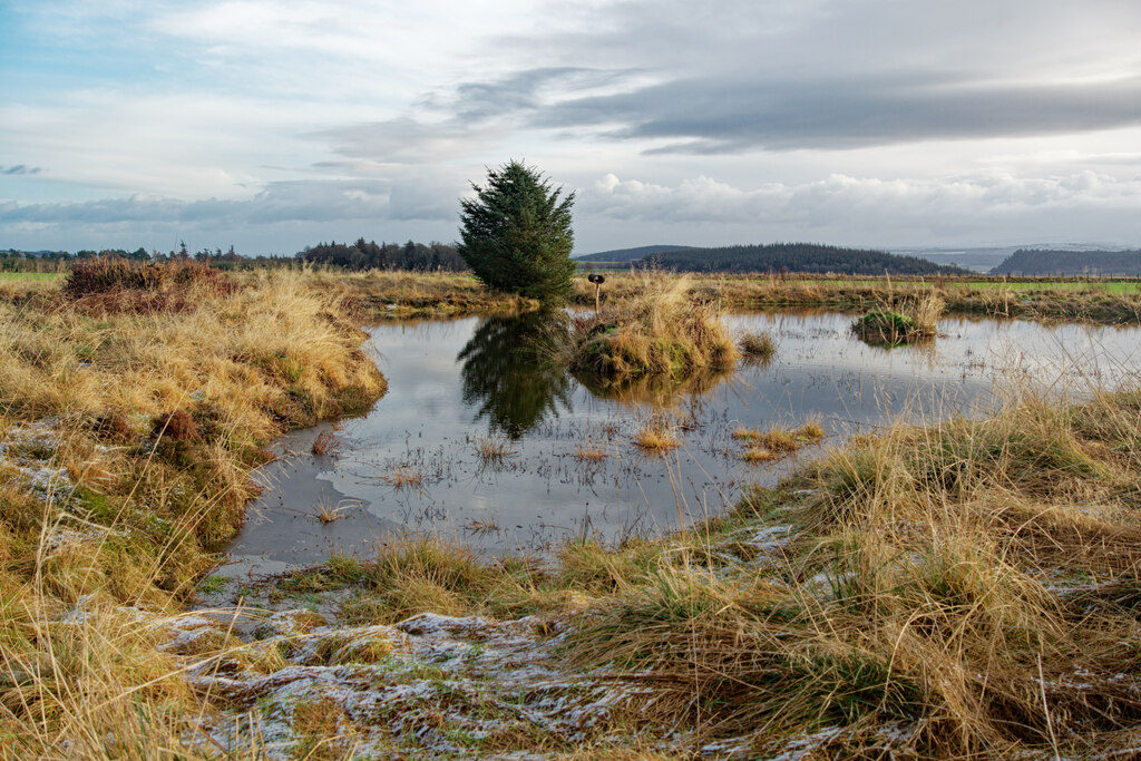 Pond for wildlife in the Roskill Estate © Julian Paren cc-by-sa/2.0 ...