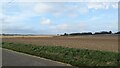 Arable field next to Ivytree Lane