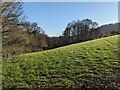 Farmland at Bredwardine