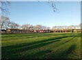 Chestnuts Recreation Ground, Harringay