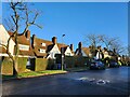 Houses in Meadway