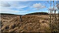 Crug y Bwdran round cairn