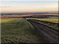 Farm track, Shandford