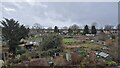 Wheelers Lane Allotments