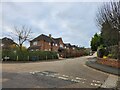 Looking from East Meads into Ellis Avenue