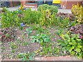 Flower bed on Woodlands Park Road, Harringay