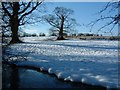 Towthorpe Medieval Village.