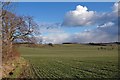 View South from Warden Hill, Luton