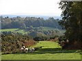 View of Hills around Nutley