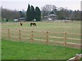 Daneswick farm buildings