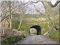 Valley Aqueduct on the Fairbottom Branch Canal