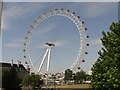 TQ3079 : The London Eye by Mike McMillan