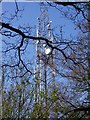 Colwick Wood Mast