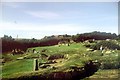 Carn Euny Iron Age Village