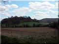 Farmland at the foot of Barrow Hill