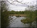 Rixton Clay Pits Nature Reserve