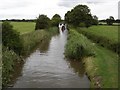 Stoney Step Bridge