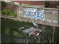 Hogsmill River at Kingston Upon Thames