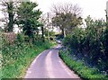 Old drove road, Fawley