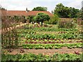 TQ1772 : Vegetable garden at Ham House Estate by mym