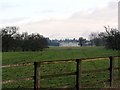 Looking E across SP9532 to Woburn Abbey