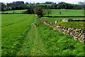 Broombriggs Farm Country Park