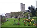 Berrow Church and Cross