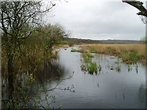 SD4774 : Channel through reeds beds by Martyn B