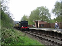 SO7484 : Country Park Halt by David Stowell