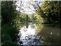 Moat Pond, Sherrards Green Road, Malvern