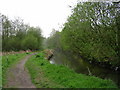 River Irk, Rhodes near Middleton