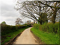 Manor Farm near Inkpen