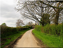 SU3664 : Manor Farm near Inkpen by Pam Brophy