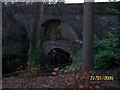 Rumbling Bridge - Twin Bridges