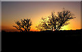 SX2574 : Kilmar Tor Sunset by neil hanson