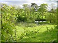 Pond near Wixon Brook