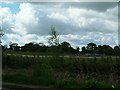 The site of the old Baddesley colliery