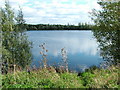 Lake at Thorney