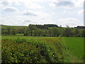 Landscape south west of East Keswick