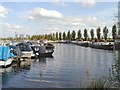 Boats at Sawley Marina