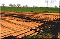 Ploughed field near Guildtown