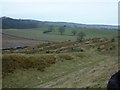 Old Oswestry Hill Fort