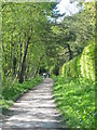 Old Deeside railway line walk, Pitfodels